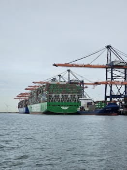 Large container ship docked at Maasvlakte port, Rotterdam. Industrial cranes and cargo vessels in view.